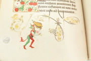 Hours of Mary of Burgundy, Vienna
Austria
, Österreichische Nationalbibliothek, Codex Vindobonensis 1857 − Photo 6