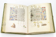 Hours of Mary of Burgundy, Vienna
Austria
, Österreichische Nationalbibliothek, Codex Vindobonensis 1857 − Photo 11