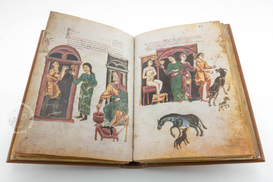 Medicina Antiqua, Vienna, Österreichische Nationalbibliothek, Codex Vindobonensis 93 − Photo 1