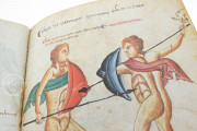 Medicina Antiqua, Codex Vindobonensis 93 - Österreichische Nationalbibliothek (Vienna, Austria) − Photo 3