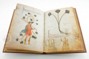 Medicina Antiqua, Vienna, Österreichische Nationalbibliothek, Codex Vindobonensis 93 − Photo 8