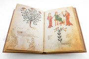 Medicina Antiqua, Vienna, Österreichische Nationalbibliothek, Codex Vindobonensis 93 − Photo 13
