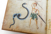 Medicina Antiqua, Vienna, Österreichische Nationalbibliothek, Codex Vindobonensis 93 − Photo 14