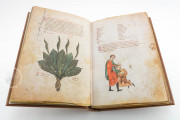 Medicina Antiqua, Codex Vindobonensis 93 - Österreichische Nationalbibliothek (Vienna, Austria) − Photo 16