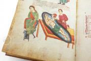 Medicina Antiqua, Vienna, Österreichische Nationalbibliothek, Codex Vindobonensis 93 − Photo 17