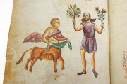 Medicina Antiqua, Codex Vindobonensis 93 - Österreichische Nationalbibliothek (Vienna, Austria) − Photo 21