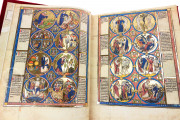 Bible Moralisée, Vienna, Österreichische Nationalbibliothek, Codex Vindobonensis 2554 − Photo 16