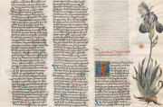 Ambras Book of Heroes, Vienna, Österreichische Nationalbibliothek, Cod. Ser. n. 2663 − Photo 3