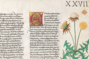 Ambras Book of Heroes, Vienna, Österreichische Nationalbibliothek, Cod. Ser. n. 2663 − Photo 4