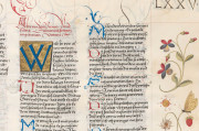 Ambras Book of Heroes, Vienna, Österreichische Nationalbibliothek, Cod. Ser. n. 2663 − Photo 5
