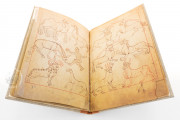 Model Book of Rein, Vienna, Österreichische Nationalbibliothek, Codex Vindobonensis 507 − Photo 3