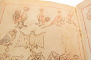 Model Book of Rein, Vienna, Österreichische Nationalbibliothek, Codex Vindobonensis 507 − Photo 13