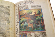 Gaston Phoebus - Le Livre de la Chasse, Paris, Bibliothèque nationale de France, MS fr. 616 − Photo 12