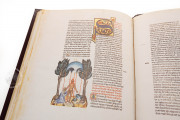 Abu´l Qasim Halaf ibn Abbas al-Zahraui - Chirurgia, Vienna, Österreichische Nationalbibliothek, Codex Vindobonensis S. N. 2641 − Photo 4