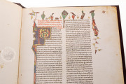 Abu´l Qasim Halaf ibn Abbas al-Zahraui - Chirurgia, Vienna, Österreichische Nationalbibliothek, Codex Vindobonensis S. N. 2641 − Photo 15