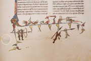 Abu´l Qasim Halaf ibn Abbas al-Zahraui - Chirurgia, Vienna, Österreichische Nationalbibliothek, Codex Vindobonensis S. N. 2641 − Photo 16