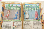 Rose Novel for King François I, New York, The Morgan Library & Museum, MS M.948 − Photo 15