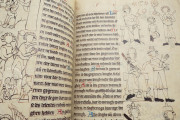 Oldenburg Mirror of Saxony, Oldenburg, Landesbibliothek Oldenburg, CIM I 410 − Photo 16