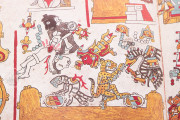 Codex Zouche-Nuttall, London, British Museum, Am1902,0308.1 − Photo 18