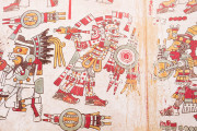 Codex Zouche-Nuttall, London, British Museum, Am1902,0308.1 − Photo 24