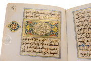 Al-Gazuli, Vienna, Österreichische Nationalbibliothek, Codex Vindobonensis Mixt. 1876 − Photo 4