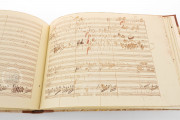 Ludwig van Beethoven - Violin Concerto in D-Dur, op. 61, Vienna, Österreichische Nationalbibliothek, Mus. Hs. 17.538 − Photo 10