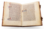 Book of the World: The Saxon World Chronicle, Gotha, Forschungs- und Landesbibliothek, Ms. Memb. I 90 − Photo 12