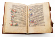 Book of the World: The Saxon World Chronicle, Gotha, Forschungs- und Landesbibliothek, Ms. Memb. I 90 − Photo 16