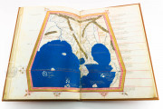 Atlas of Borso d'Este, Lat. 463 = α.X.1.3 - Biblioteca Estense Universitaria (Modena, Italy) − photo 16