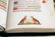 Book of Hours of the Bishop Morgades, Vic, Museu Episcopal de Vic, Ms 88 − Photo 11