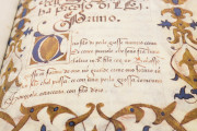 Codice Stivini - Inventory of the possessions of Isabella d'Este, Mantua, Archivio di Stato di Mantova, Inv. b. 400 − Photo 3