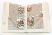 Weltchronik - The chronicles of Nuremberg, Weimar, Herzogin Anna Amalia Bibliothek
 − Photo 21