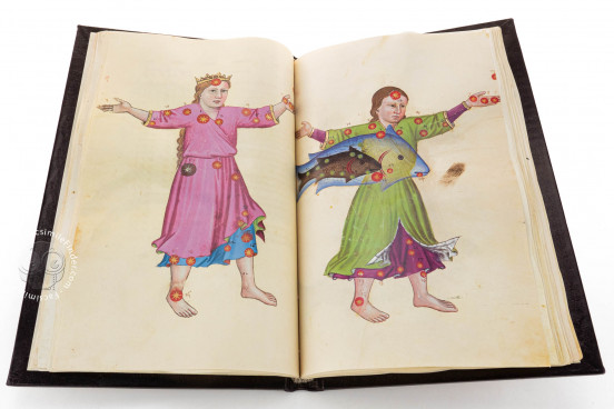 Book of Fixed Stars of Alfonso the Wise, Berlin, Staatsbibliothek Preussischer Kulturbesitz, Ms. 78D12 − Photo 1