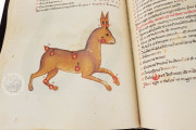 Book of Fixed Stars of Alfonso the Wise, Berlin, Staatsbibliothek Preussischer Kulturbesitz, Ms. 78D12 − Photo 11