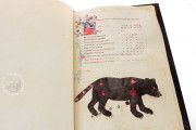 Book of Fixed Stars of Alfonso the Wise, Berlin, Staatsbibliothek Preussischer Kulturbesitz, Ms. 78D12 − Photo 18