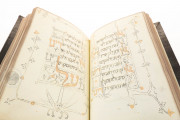 Prato Haggadah, New York, Library of Jewish Theological Seminary, Ms. 9478 − Photo 15