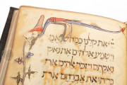 Prato Haggadah, New York, Library of Jewish Theological Seminary, Ms. 9478 − Photo 24