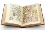 Book of Hours of Marguerite d'Orléans, Paris, Bibliothèque Nationale de France, Ms. Lat. 1156B − Photo 14