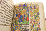 Book of Hours of Marguerite d'Orléans, Paris, Bibliothèque Nationale de France, Ms. Lat. 1156B − Photo 18