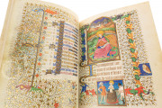 Book of Hours of Marguerite d'Orléans, Paris, Bibliothèque Nationale de France, Ms. Lat. 1156B − Photo 20