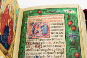 Hours of Mary Stuart, Ravenna, Biblioteca Classense, Ms. 62 − Photo 6