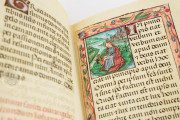 Hours of Mary Stuart, Ravenna, Biblioteca Classense, Ms. 62 − Photo 9