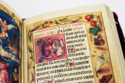 Hours of Mary Stuart, Ravenna, Biblioteca Classense, Ms. 62 − Photo 14
