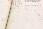 Life and Writings of Saint Francis of Assisi, Florence, Biblioteca Medicea Laurenziana, Gaddi 112 − Photo 7