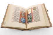 Liber Scivias, Original manuscript lost/stolen − Photo 3