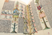 Liber Genealogiae Regum Hispaniae, Madrid, Biblioteca Nacional de España, Ms. Vit. 19-2 − Photo 5