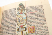 Liber Genealogiae Regum Hispaniae, Madrid, Biblioteca Nacional de España, Ms. Vit. 19-2 − Photo 8