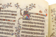 Grandes Heures du duc de Berry, Paris, Bibliothèque nationale de France, MS lat. 919 Paris, Musée du Louvre, RF 2835 − Photo 16