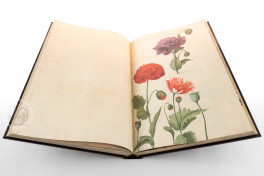 Hortus amoenissimus by Franciscus de Geest Facsimile Edition
