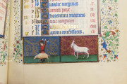 Willelm Vrelant Book of Hours, Florence, Biblioteca Medicea Laurenziana, MS Acq. e Doni 147 − Photo 17